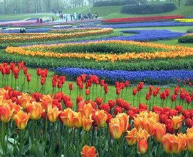 Botanica World Discoveries - Geraldton Accommodation 0