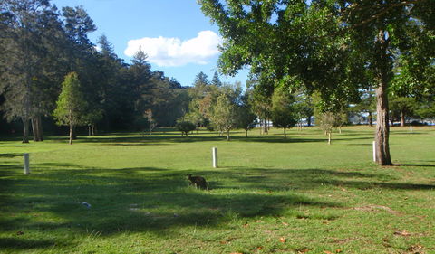 The Basin Picnic Area - Geraldton Accommodation 1
