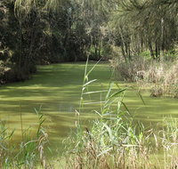 Second Ponds Creek walk - Geraldton Accommodation