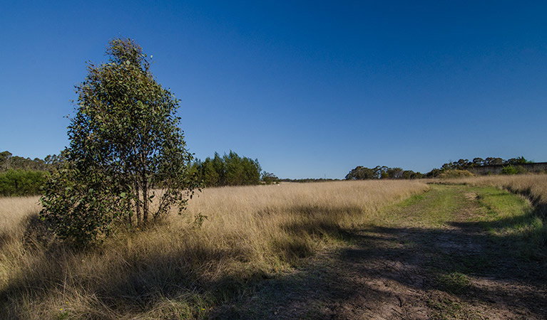 Oakville NSW Geraldton Accommodation