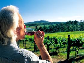 Ashton Hills Vineyard - Geraldton Accommodation 0