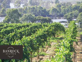 Banrock Station Wine And Wetland Centre - Geraldton Accommodation 0