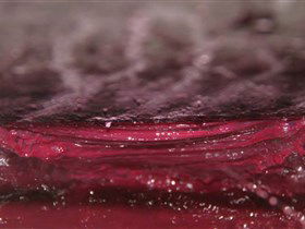 Adelaide Winemakers - Geraldton Accommodation 2