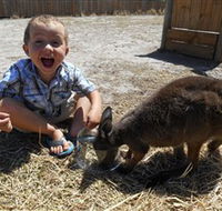 Animal Farm Goolwa - Geraldton Accommodation
