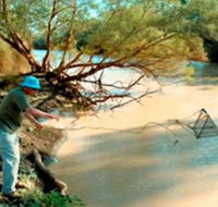 Charleville - Ward River Fishing Spot - Geraldton Accommodation
