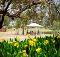 Charleville - Graham Andrews Parklands - Geraldton Accommodation