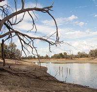 Toorale National Park - Geraldton Accommodation