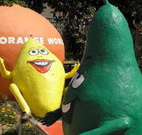 Orange World - Geraldton Accommodation