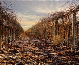 Andrew Peace Wines - Geraldton Accommodation 2
