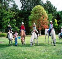Limestone Coast Horseriding - Geraldton Accommodation