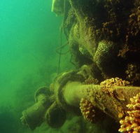 Wreck Diving at Magnetic Island - Geraldton Accommodation