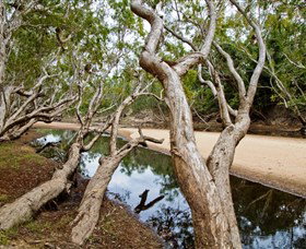 Oyala Thumotang National Park (CYPAL) - Geraldton Accommodation 0