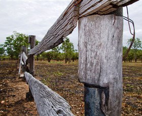 Oyala Thumotang National Park (CYPAL) - Geraldton Accommodation 1