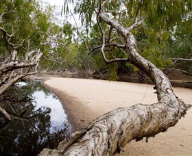 Oyala Thumotang National Park (CYPAL) - Geraldton Accommodation 3