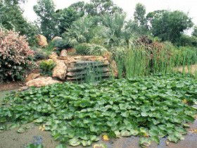 Mackenzie Park - Geraldton Accommodation 0