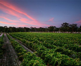 Amherst Winery - Geraldton Accommodation 0