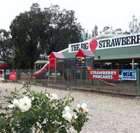 The Big Strawberry - Geraldton Accommodation