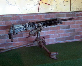 Woodpecker Gun - Geraldton Accommodation 0