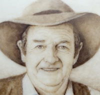 Doris Golder Wool Art Gallery - Geraldton Accommodation