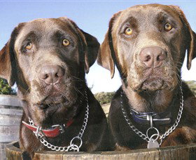 Ellender Estate - Geraldton Accommodation 7