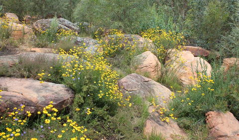 Ben Hall's Cave Walking Track - Geraldton Accommodation 2