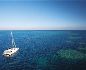 Bait Reef And Garys Lagoon Dive Site - Geraldton Accommodation 0