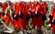 Australian Inland Botanic Gardens - thumb 1