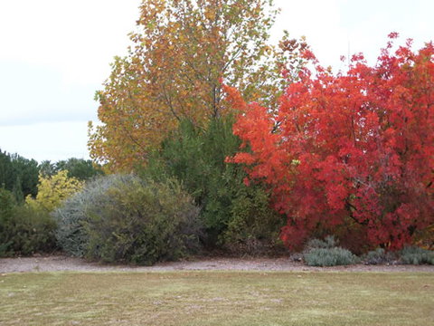 Australian Inland Botanic Gardens - Geraldton Accommodation 2