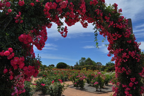 Australian Inland Botanic Gardens - Geraldton Accommodation 3