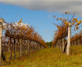 Charles Sturt University Winery Wagga Wagga - Geraldton Accommodation 3