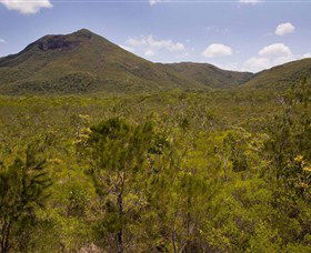 Kutini-Payamu (Iron Range) National Park (CYPAL) - Geraldton Accommodation 0