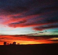 Springview Eco-Farm - Geraldton Accommodation