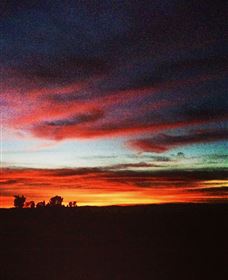 Springview Eco-Farm - Geraldton Accommodation 0