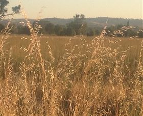 Springview Eco-Farm - Geraldton Accommodation 3