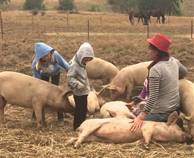 Springview Eco-Farm - Geraldton Accommodation 2