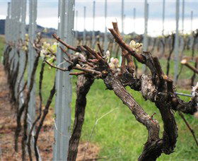 Stockmans Ridge Wines - Geraldton Accommodation 2