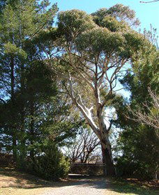 Habitat Vineyard - Geraldton Accommodation 1