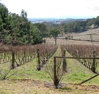Habitat Vineyard - Geraldton Accommodation