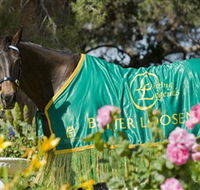 Living Legends The International Home of Rest for Champion Horses - Geraldton Accommodation