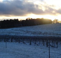 Charles Sturt University Winery - Geraldton Accommodation
