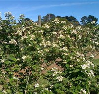 Huntley Berry Farm - Geraldton Accommodation