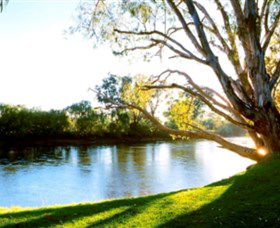 Albury - Murray River Precinct - Geraldton Accommodation 0