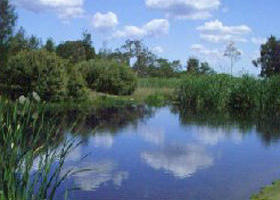 Yan Yean Reservoir Park - Geraldton Accommodation 0