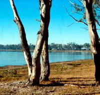 Lake Broadwater Conservation Park - Geraldton Accommodation