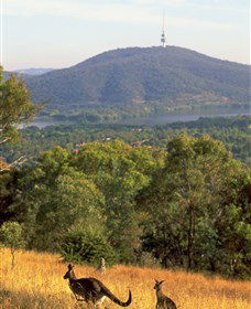 Canberra Centenary Trail - Geraldton Accommodation 0