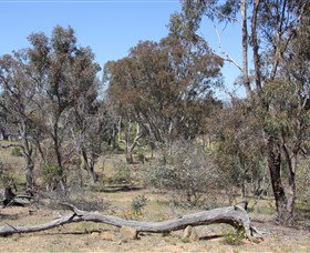 Remembrance Nature Park - Geraldton Accommodation 0