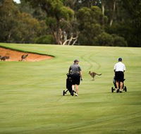 Federal Golf Club - Geraldton Accommodation