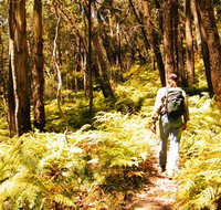 Federal Pass - Geraldton Accommodation