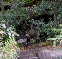 Leura Cascades Fern Bower - Geraldton Accommodation