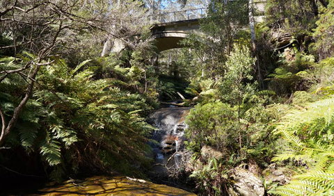 Leura Cascades Fern Bower - Geraldton Accommodation 3
